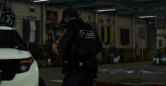 LCPD13.png