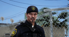 LCPD7.png