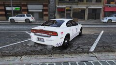 CHARGER DEAViM GDL MEXICO