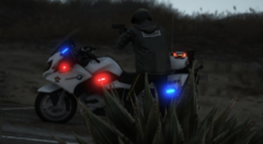 BCSO