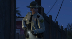 LSSD
