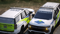 YRPS3640C2.PNG