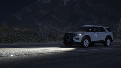 RISP-(Late Night Patrol)