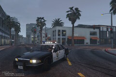 Chevy Carpice 96 RHPD