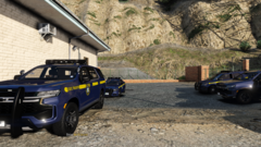 State Cars ready for service..