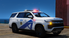 Toronto Paramedic Service