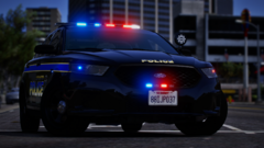 City of Los Santos Police Department