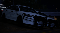 Los Santos County Sheriff's Office - Traffic Division