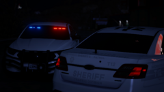 Los Santos County Sheriff's Office