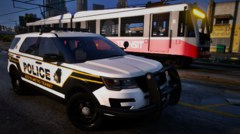 LSCSO - South-Metro Transit Police Division