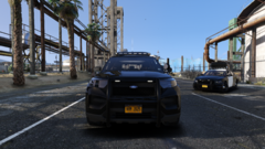 2021 FPIU and 2021 Charger w/ DNR Odyssey Lightbar