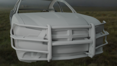 2011-2014 Charger GoRhino