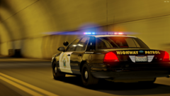 CHP03