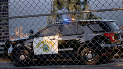 CHP60