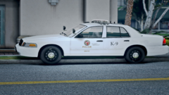 LAPD29
