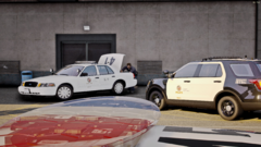 LAPD43
