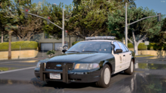 LAPD65