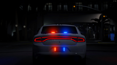 LAPD74.png