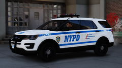 NYPD 2017 FPIU - PSA 6