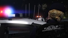NYPD Response