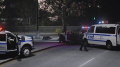 NYPD Response