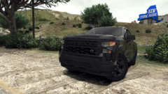 2025 Chevrolet Silverado 1500 PPV in black.