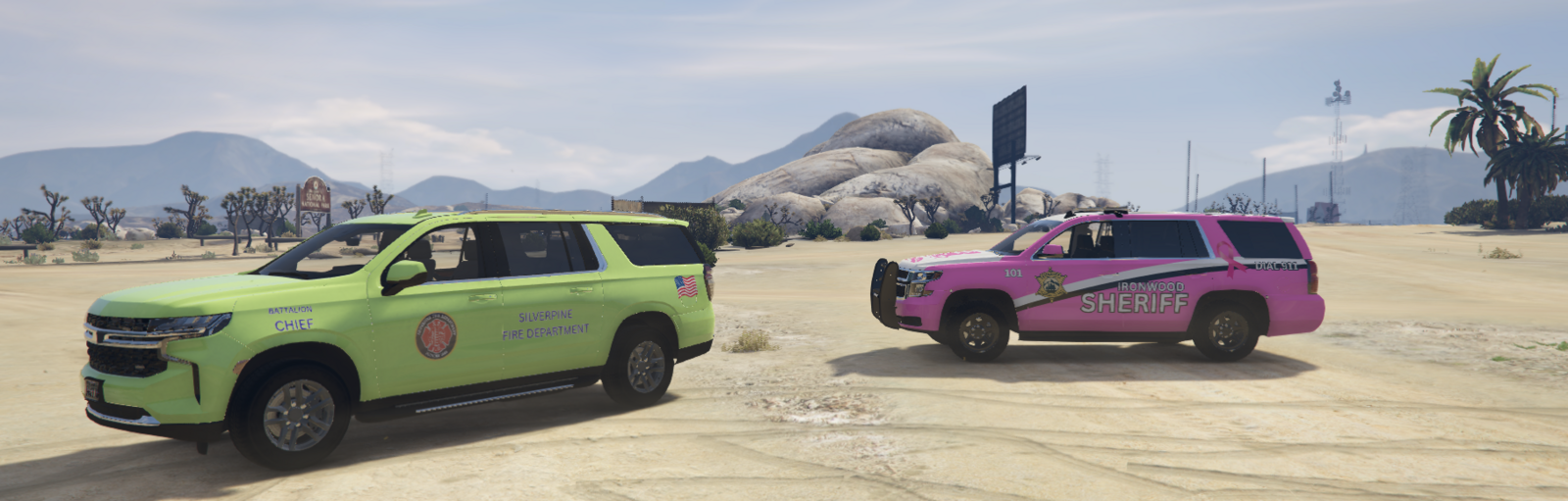 custom skins