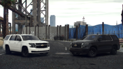 Twins ready for service..