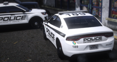 Gwinnett County Police Department - 16 FPIU, 18 Charger