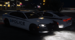 Gwinnett County Police Department - DUI Task Force