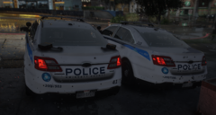 Gwinnett County Police Department - 2016 FPIS