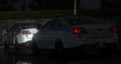 Gwinnett County Police Department - 2016 FPIS