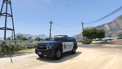 Grand Theft Auto V Screenshot 2025.07.13 - 14.06.31.09.png