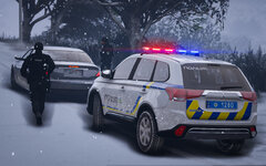 Traffic stop in winter by National Police of Ukraine