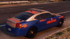 2008 GSP Dodge Charger K9 #306