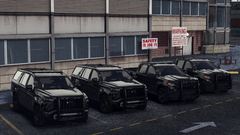 New Cruisers at the Port..