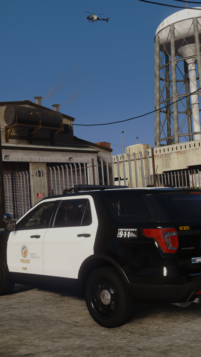 LAPD Flicks