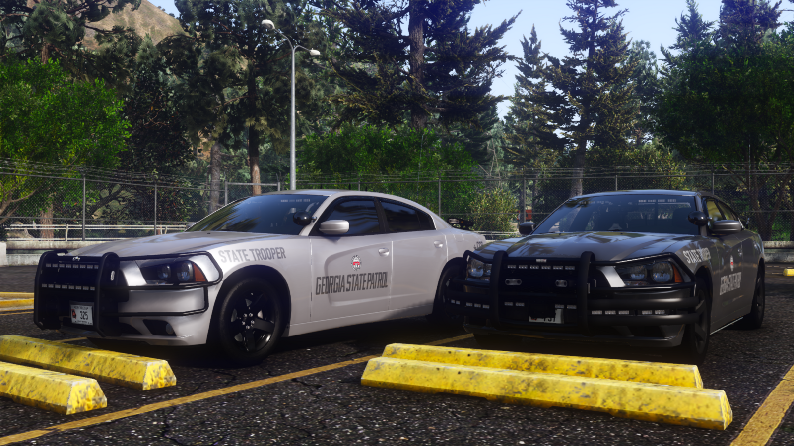 Georgia State Patrol