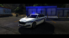 skoda1.jpg