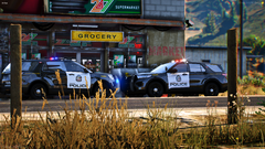 FiveM_GTAProcess 2026-03-21 22-30-47_472.png