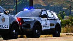 FiveM_GTAProcess 2026-03-21 22-31-54_697.png