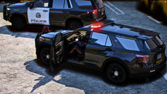 FiveM_GTAProcess 2026-03-29 19-43-47_960.png