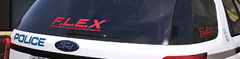 8.png