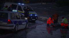 GTA5_2026-05-17_12-29-01.png