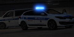 Renault Megane & VW T5