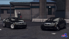 Twins.