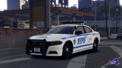 Finally Back In New York..