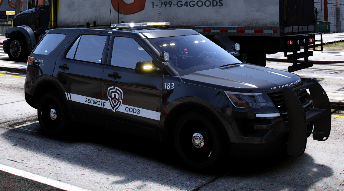 Security Services