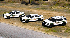 GTA5 2026-06-28 22-39-46_476.png