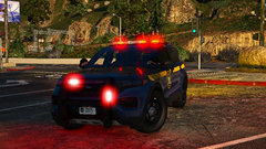2025 New York State Police FPIU